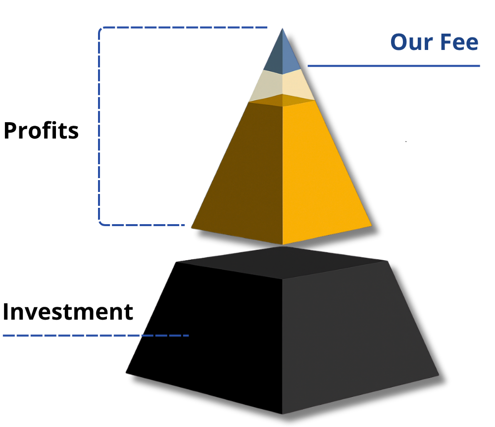 Investment and profit diagram of BellWether Strategy