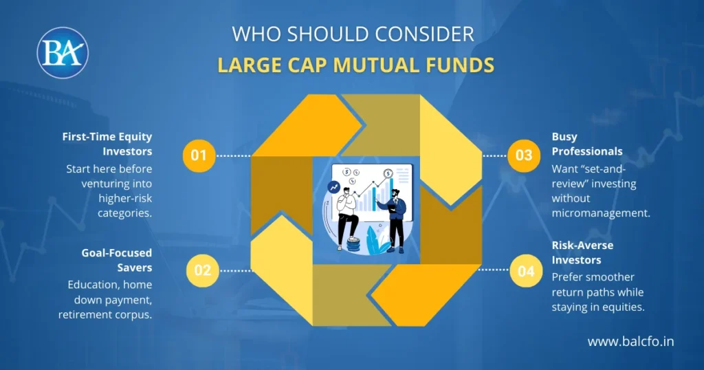 who should consider large cap mutual funds